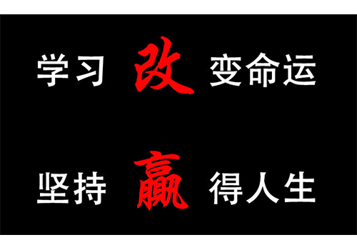 石家庄成人高考怎么样